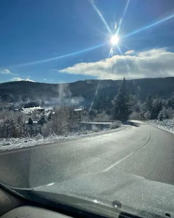 Dom wakacyjny świerkowy Zakatek *