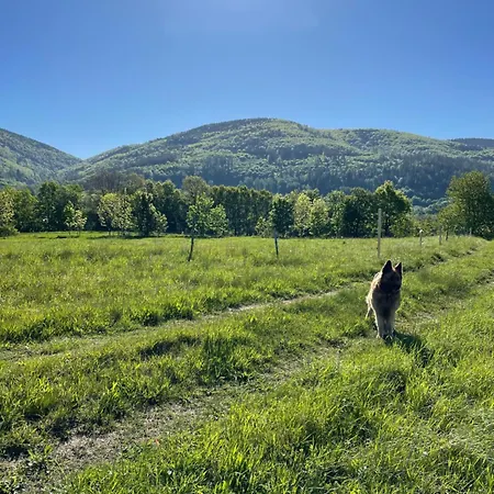 Dom wakacyjny świerkowy Zakatek *