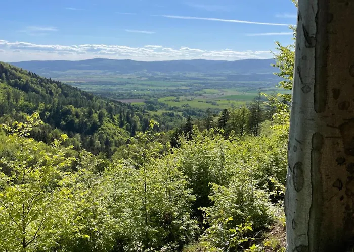 Swierkowy Zakatek Holiday home