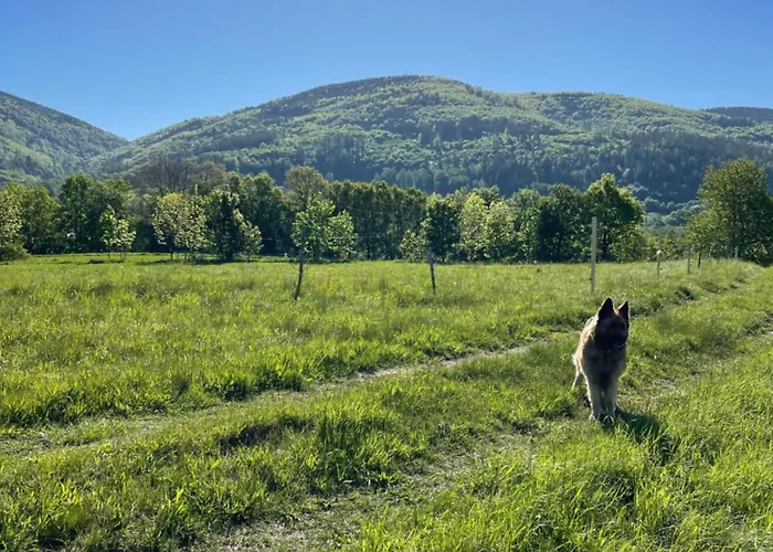 Holiday home Swierkowy Zakatek *